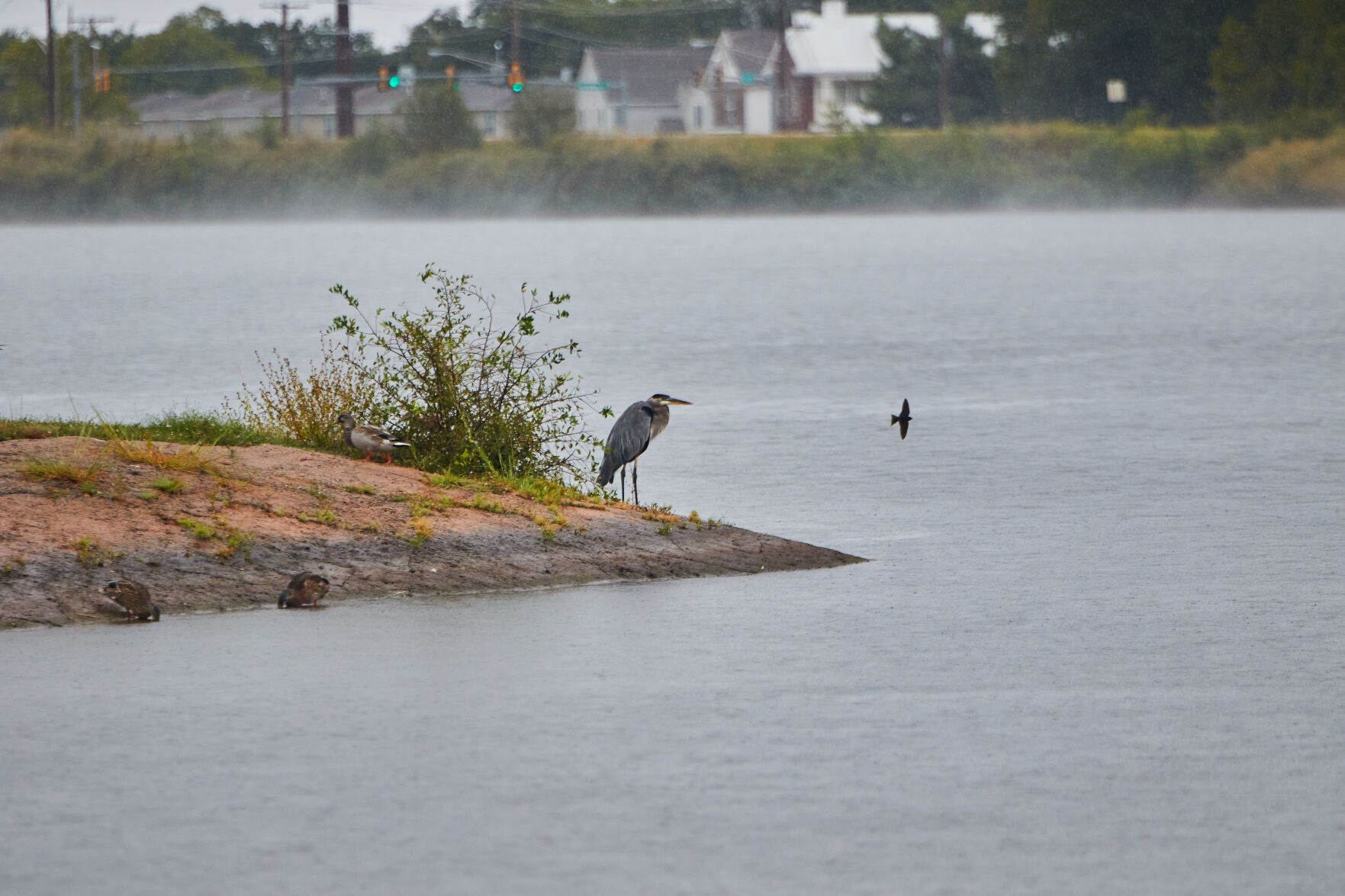 Boomer Lake